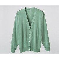 �f�B�[�t�F�C�Y�@�R�s�������J�[�f�B�K���@�O���[���@�k�k