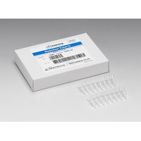 �h�����w�@�k�������������@�����`���[�u�c�@�X�U�{�@�k�l�o�X�O�U�@�P��