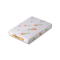 北越コーポレーション コピー用紙 NEWファインカラー(国産) B4 オレンジ 500枚入 007574629 1パック