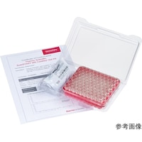 サーモフィッシャー SureSTARTバイアル(品質証明書付