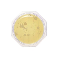 �N���[���X�^���v�Q�T