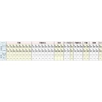 Gnet バーテックス 軸付CBN砥石(中仕上・精密仕上用) C20P