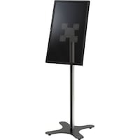 �I�[�����W���p���@�T�C�l�[�W�X�^���h