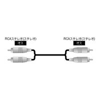 �C���[�W�j�N�X�@�����M���p�P�[�u���@�q�b�`�q�b�`�`�T�l