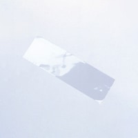 �s�n�o�o�`�m�@�H�i�܁@�O�Q�P�U�S�@�n�f�V�[�����n��