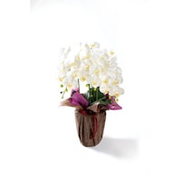 �`�M�@���ԁ@�󒍐��Y�i�@�Ӓ����i���G�}���H�j�@�X�ց@�R�{���@�`�S�U�z���C�g