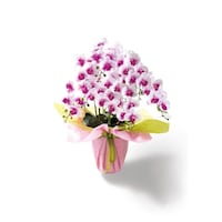 �`�M�@���ԁ@�󒍐��Y�i�@�Ӓ����i���G�}���H�j�@�X�ց@�V�{���@���{�s���N