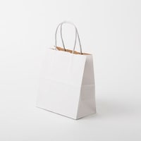 星野 手提げ紙袋 キャリーバッグWKSS#1ホワイト