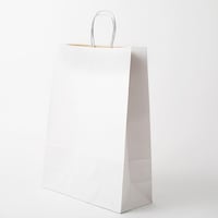 星野 手提げ紙袋 キャリーバッグWKL#1ホワイト