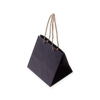 星野 手提げ紙袋 キャリーバッグZBS4