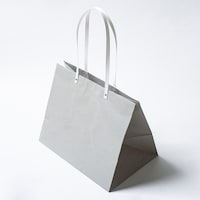 星野 手提げ紙袋 キャリーバッグHKL2