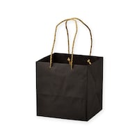 星野 手提げ紙袋 キャリーバッグZBS6