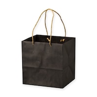 星野 手提げ紙袋 キャリーバッグZBM6