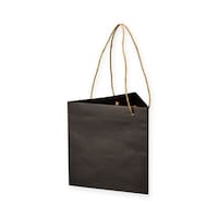 星野 手提げ紙袋 キャリーバッグZBTM6