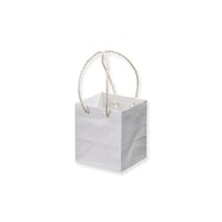 ����@��񂰎��܁@�L�����[�o�b�O�j�r�r�P