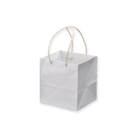 ����@��񂰎��܁@�L�����[�o�b�O�j�r�P