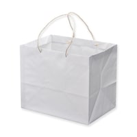 ����@��񂰎��܁@�L�����[�o�b�O�j�k�P