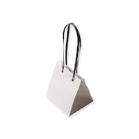 星野 手提げ紙袋 キャリーバッグHKSS