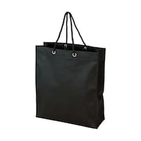 アズワン 不織布バッグ 黒 315×355×110MM (10枚入) TNFB10S