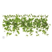 �X���n�Ӂi�X�g�A�E�G�L�X�v���X�j�@�O���[���V�_���K�[�����h�@�O���[�v�@�U�P�P�V�S�Q�P