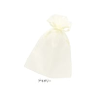 店研創意(ストア・エキスプレス) オーガンジーポーチ アイボリー