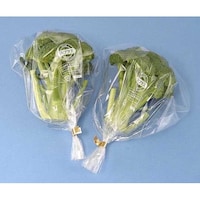 �Z�F�x�[�N���C�g�@�o�v���X�K�i�܁@�i�q�[�g�V�[���p�j�@�A�X�p���@�P�P�[�X�i�S�O�O�O�����j�@�`�x�W�j�V