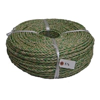 �܂���H�Ɓ@�o�o�G�F���[�v�@�T�������@��W�����Ӂ~�Q�O�O���@�o�o�T�j�f�W�Q�O�O