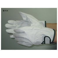 �x�m��܍H�Ɓ@�g���N���@���X�L���[�@���@�k�k�@�i�P�o�g�~�P�O�܁j�@�X�P�R