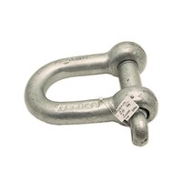 和気産業 ネジシャックル 32mm 15331