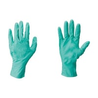 �A���Z���@�ϖ�i�l�I�v�����S���g���̂Ď�܁@�m�����s���������@�Q�T�Q�O�P�@�l�T�C�Y�@�i�P�O�O�����j�@�Q�T�Q�O�P�W