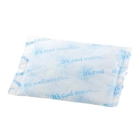 �A�C�X�W���p���@�ۗ�܁@�A�C�X�p�b�N�@�e�`�q�P�O�O�i�P�S�S���j�@�T�Q�Q�P�S�P�O