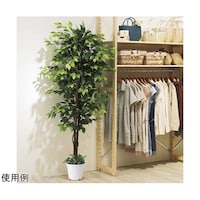 �X���n�Ӂi�X�g�A�E�G�L�X�v���X�j�@������