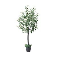 �X���n�Ӂi�X�g�A�E�G�L�X�v���X�j�@�l�H����