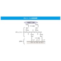 �}�c�i�~�@�X���C�h�O���X�@���ؕ��t���X�g�o�k�k�@�����P�D�Q�P�D�T�����@�P�O�O�����@�r�V�Q�Q�U