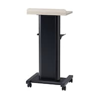 �i�J�L���@�v���[���e�[�V�����X�^���h�@