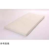 �O���[�o���Y�Ɓ@�{�f�B�h�N�^�[�q�@���M�����[�@�V���O���@�a�c�Q�l�q�Q�r