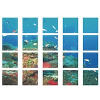 ���j�b�g�@���j�b�g�@�}���`�V�[�g�@�C�̒��Ԃ����@�X�R�b�`�v�����g�@�S�O�O�~�S�O�O�@�X�P�V�O�X�@�P�g�i�P�j