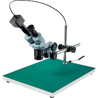 �z�[�U���@�g�n�y�`�m�@���̌������@�k�j�h�s�U�O�W�@�P�r