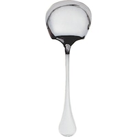 遠藤商事 TKG SA1812ウィンサム サービススプーン OUI01034 1個