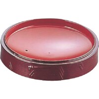 ���������@�s�j�f�@�ϔM�����Z�C���@������@�g�o�l�P�P�O�P�e�P�W�@�p�r�h�R�Q�O�Q�@�P��