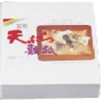 遠藤商事 TKG 高級雲龍 天ぷら敷紙(500枚入) QTV20 1個