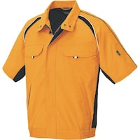 �A�C�g�X�@�A�C�g�X�@�����u���]���@�I�����W�@�r�@�P�V�R�Q�O�U�R�r�@�P��