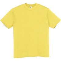 アイトス アイトス Tシャツ(男女兼用) マスタード L MT180037L 1着