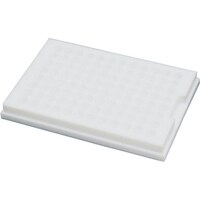 �t�����P�~�J���@�t�����P�~�J���@�t�b�f�����i�o�s�e�d�j�@�J���`���[�v���[�g�@�p��^�@�m�q�P�O�R�V�O�O�Q�@�P��