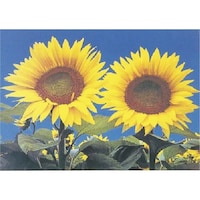 �����H�[�@�����@�с[�ŗp�ʐ^�X�e�b�J�[�@�q�}�����@�o�g�P�@�P��