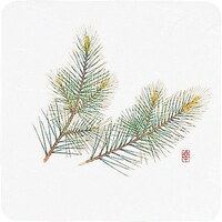 遠藤商事 TKG アーテック 和風コースター四季角(50枚入) WCOK1 松 PKCJ5 1個