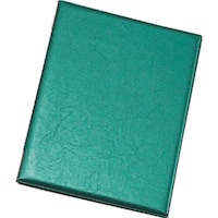 ���������@�s�j�f�@�����ށ@���U�[�^�b�`���j���[�u�b�N�@�k�a�S�O�P�i��j�O���[���@�o�d�h�Q�U�O�S�@�P��