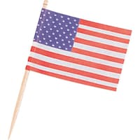遠藤商事 TKG ランチ旗 アメリカ(200本入) XLV04 1個