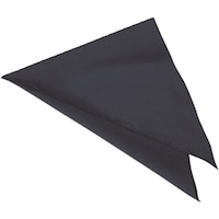 ���������@�s�j�f�@�T���y�b�N�X�C�X�g�@�O�p�Ё@�d�`�T�R�T�U�@�i���j�@�r�r�u�R�Q�O�R�@�P��