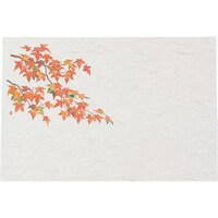 遠藤商事 TKG ヤマコー 尺3四季懐石まっと(50枚入) 紅葉 QKI13 1個